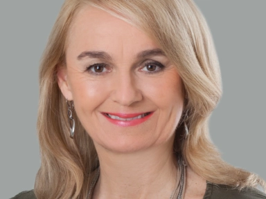 Das e-card System: Schiene für ELGA und e-health